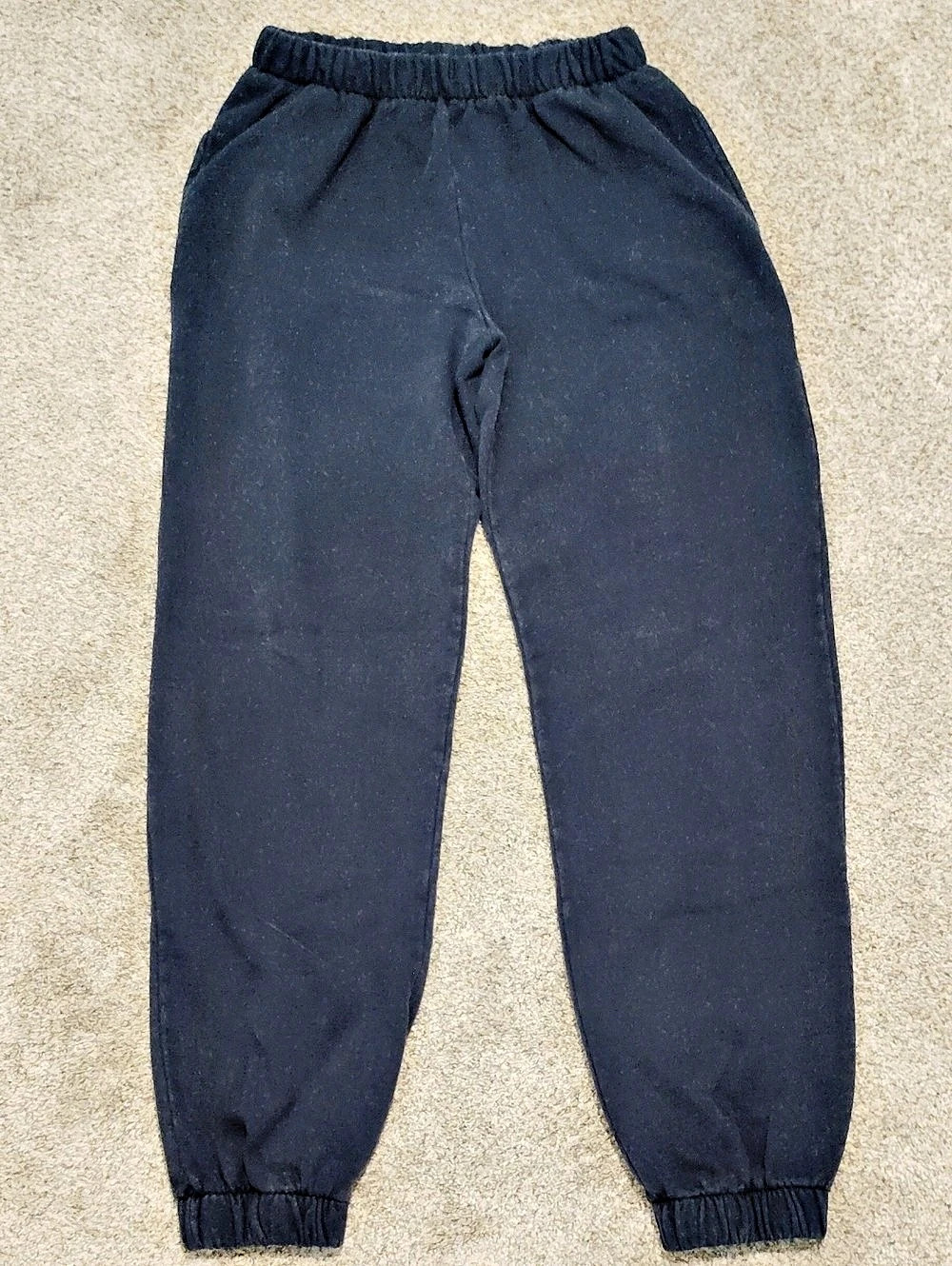 J. GALT Jogger Pants in Blue